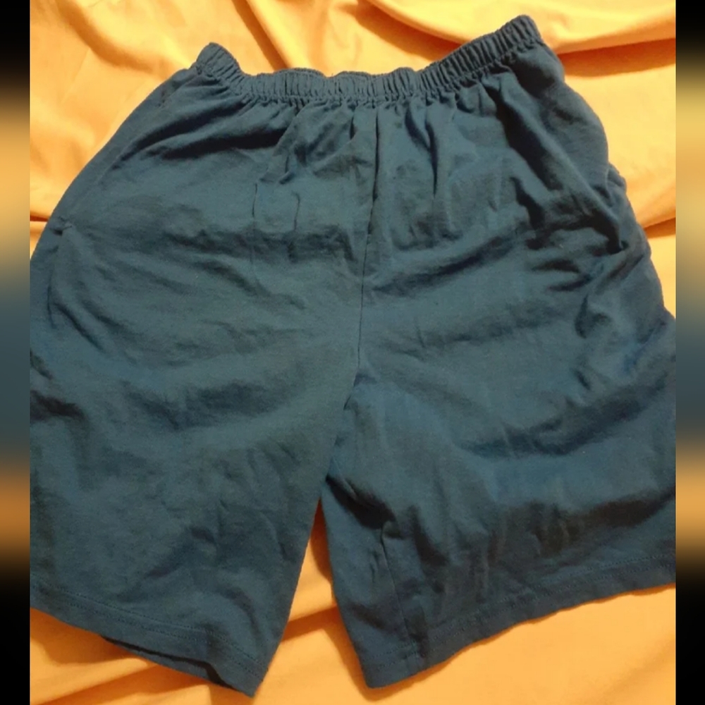 Fruit of the Loom Shorts